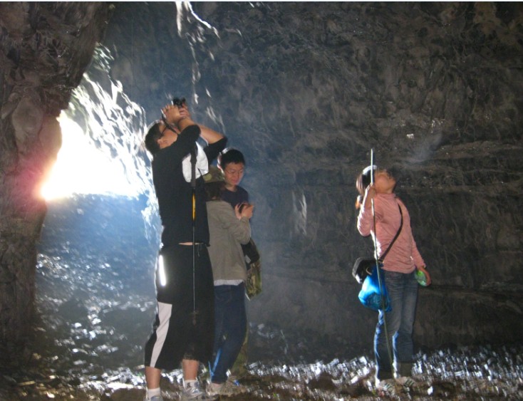 2013五一南川大观熏衣草+金佛山高山杜鹃--亲