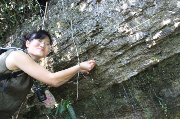 分享图片:2013五一南川大观熏衣草+金佛山北