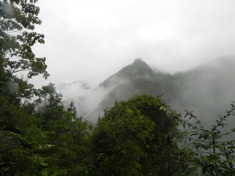 分享图片:2013五一南川大观熏衣草+金佛山北