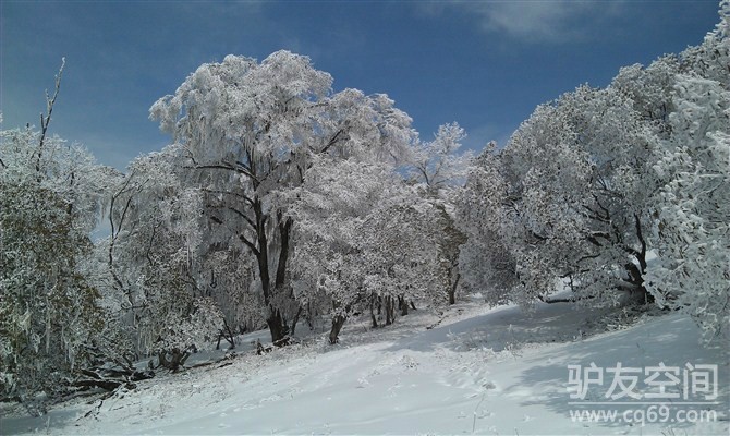 九顶山营业了滑雪场野营完善了可以滑雪赏雪等