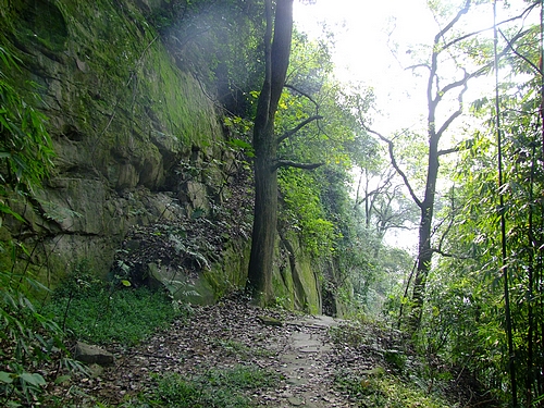 北碚张飞古道-合川草街 - 驴行魅影