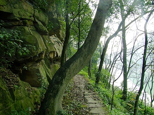 北碚张飞古道-合川草街 - 驴行魅影