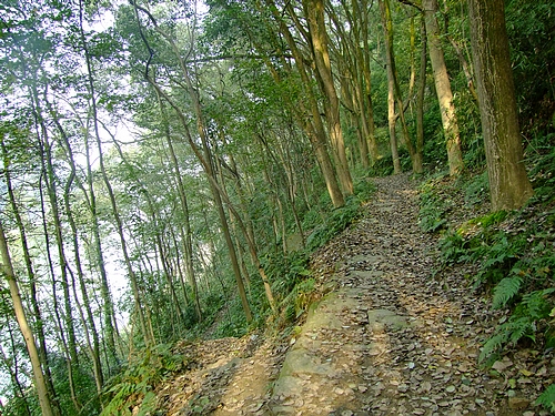 北碚张飞古道-合川草街 - 驴行魅影