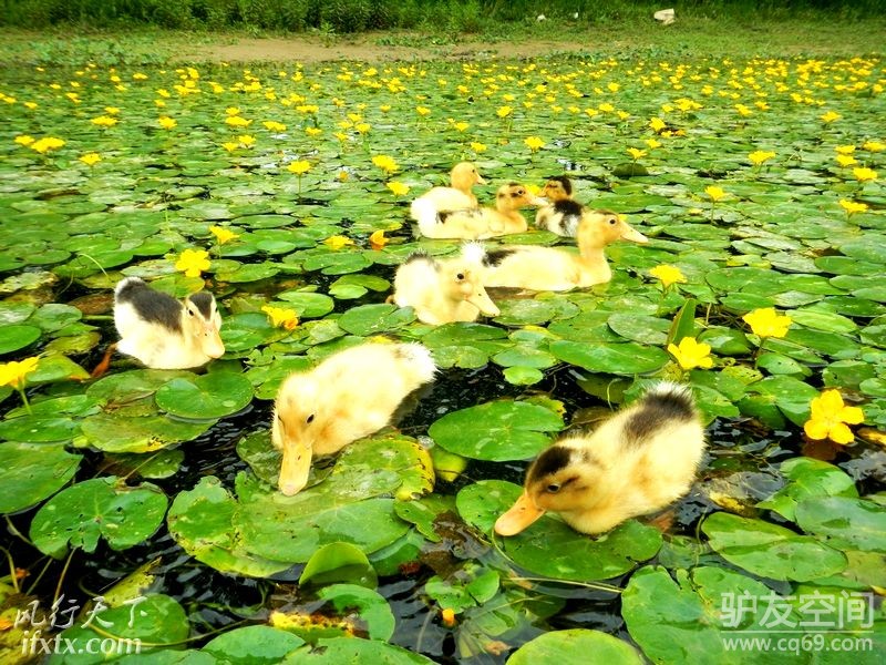 五一阆中构溪河 让我们荡起双桨!野钓、泛舟、
