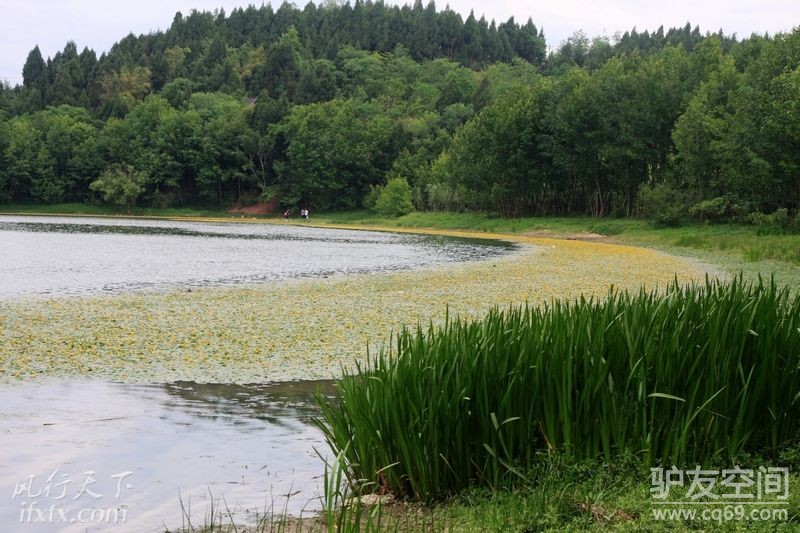 五一阆中构溪河 让我们荡起双桨!野钓、泛舟、