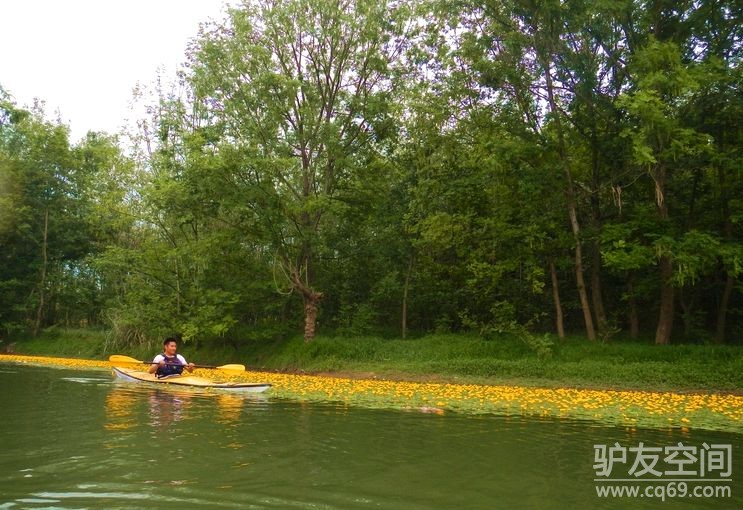 五一阆中构溪河 让我们荡起双桨!野钓、泛舟、