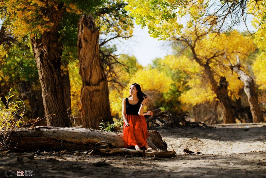 自游国旅&国庆特辑】最美的胡杨林,远征大西